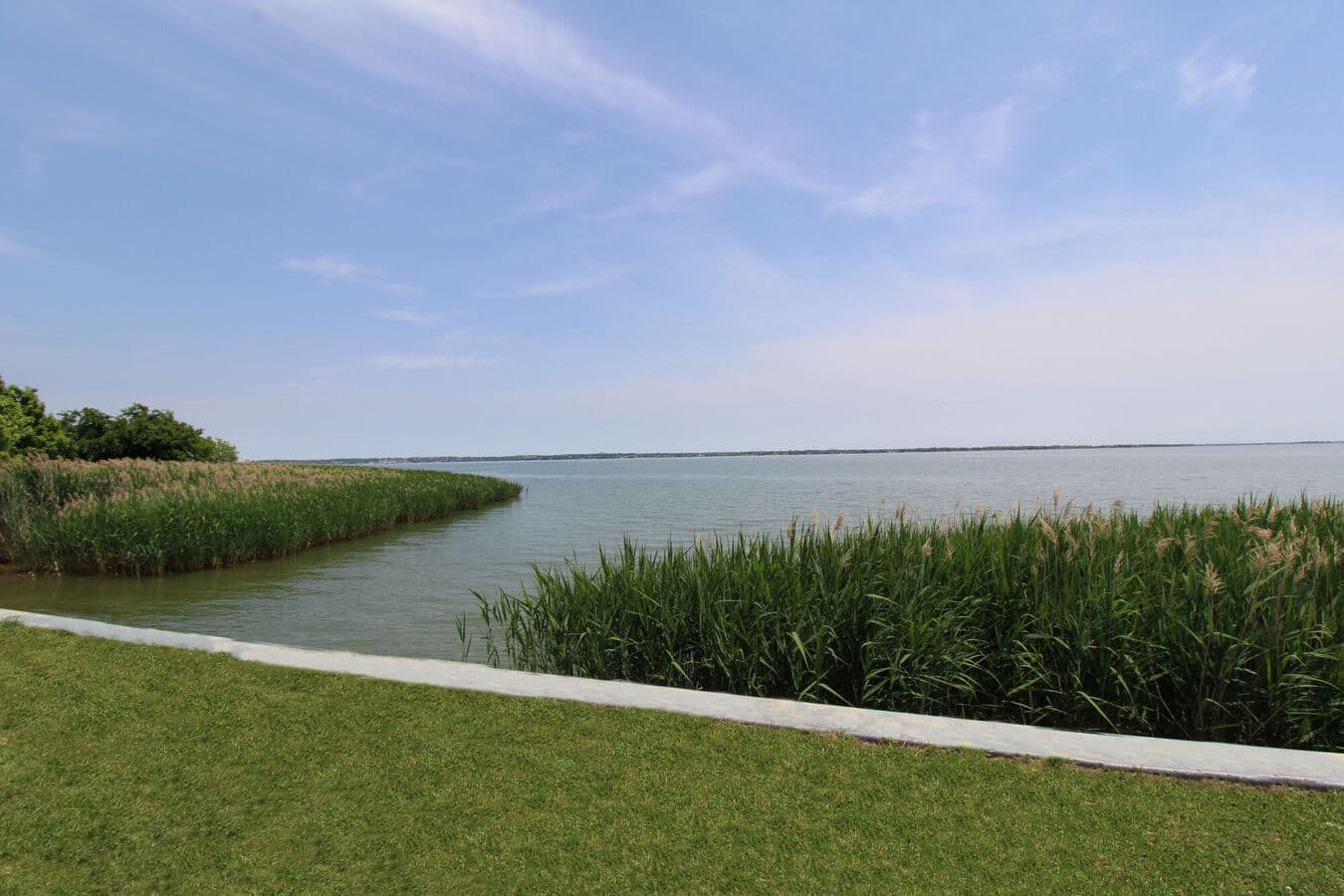 Authentic shoreline photograph at Bay Island on Lake Ray Hubbard